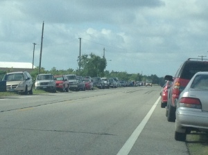Actual line for a food bank in Galveston County. The lines of cars have doubled in less then two years.